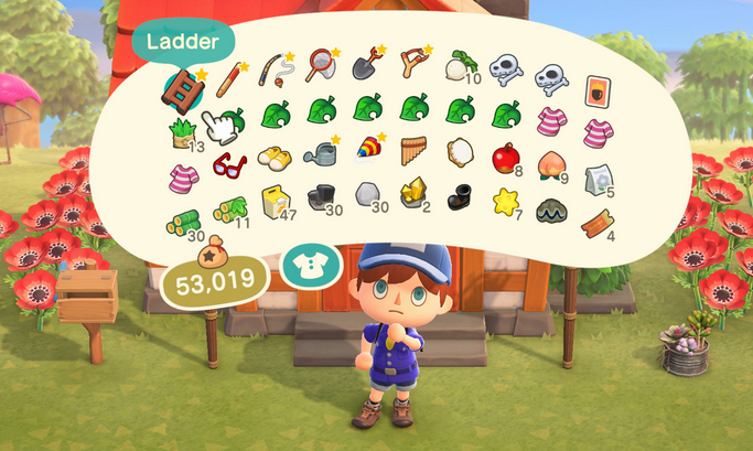ACNH inventory expansion